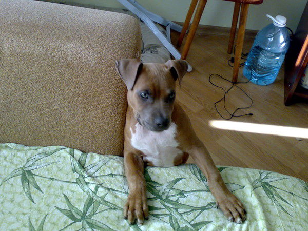 Алексей Солодовников