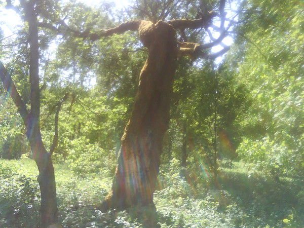 Игорь Ефимов