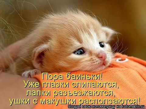 Наталья Локоть (Морозова)