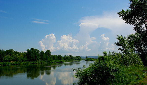 Евгений Бардин