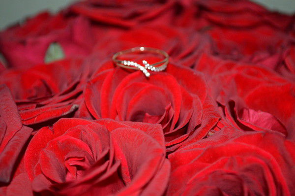 Анна Петрова