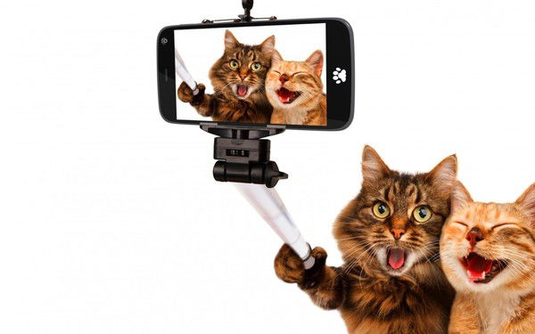 Кристина Гостева