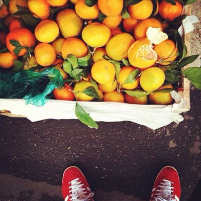 Елизавета Яцук