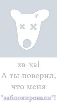 Саша Иванов