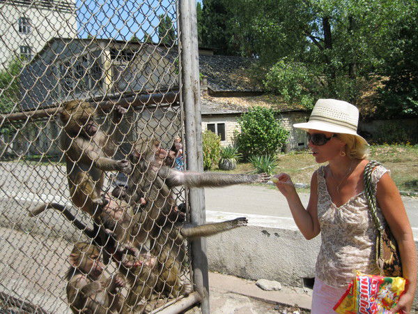 Инна Авдякова