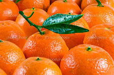 Резеда Шайхутдинова