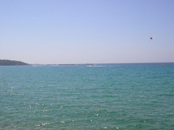 Владимир Долгих