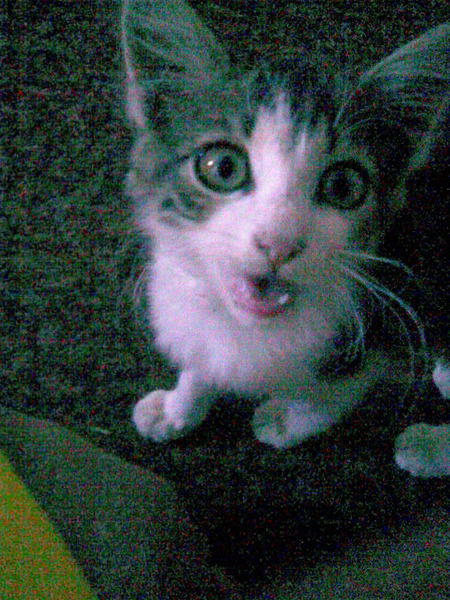 Альона Кучерук