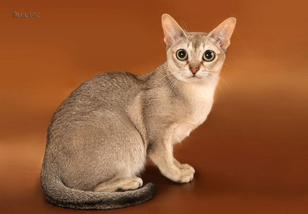 Виктория Тростина