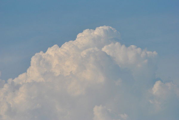 Алена Акимова