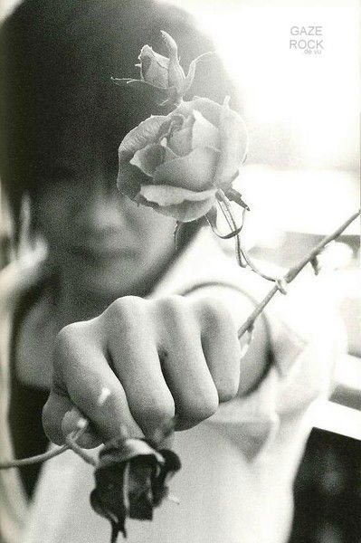 Полина Плясинова