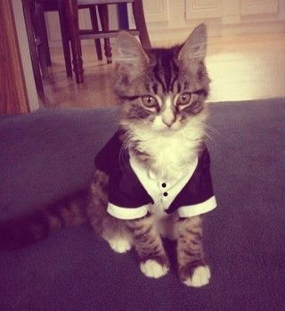 Кристинка Котенёва