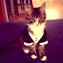 Кристинка Котенёва