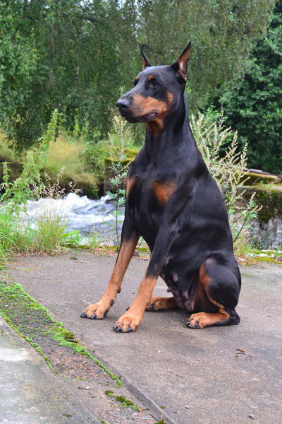 Ольга Москаленко