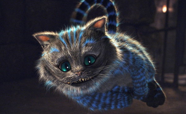 Евгений Верхушкин