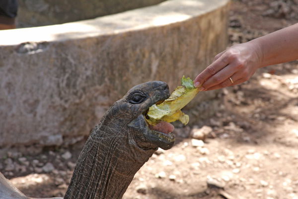 Алексей Храпунов