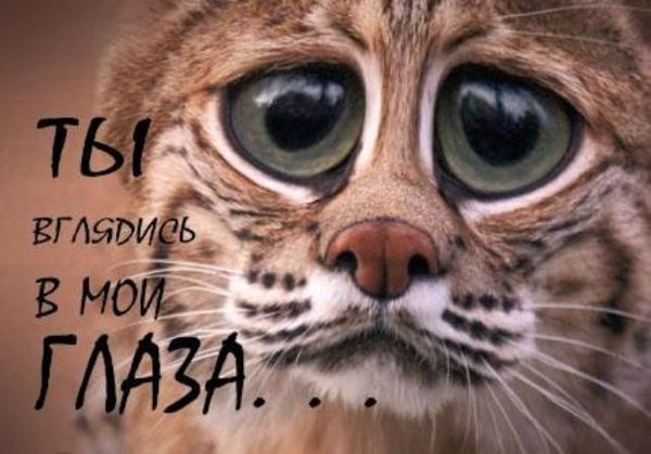 Олег И Алёна Ситник