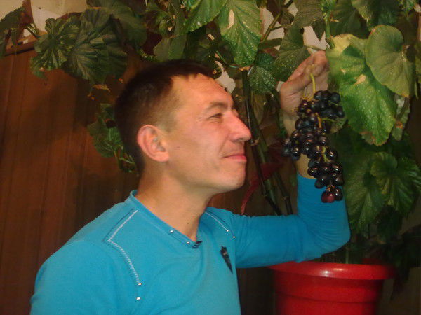 Игорь Костин