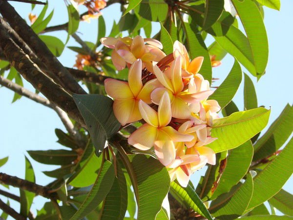 Екатерина Кузьмичева