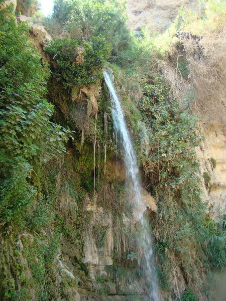 Римма Конончук