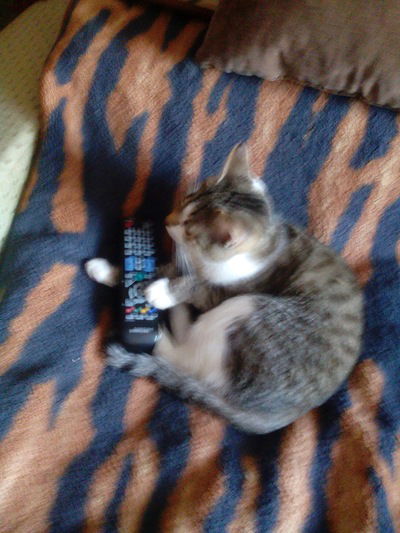 Павел Данилочев