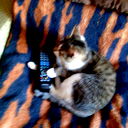 Павел Данилочев