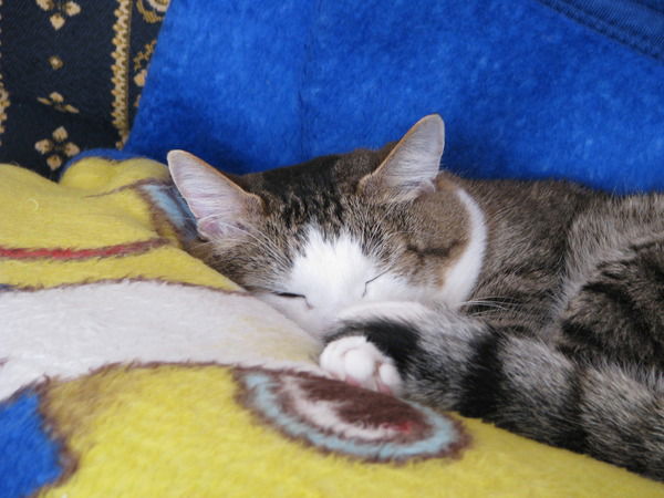 Дмитрий Закорский