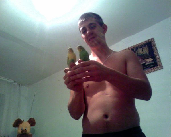 Александр Прокопцев