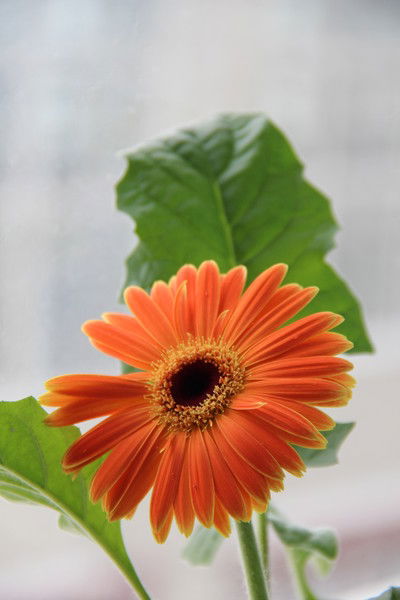 Наталья Абакумова