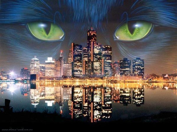 Алексей Кретов