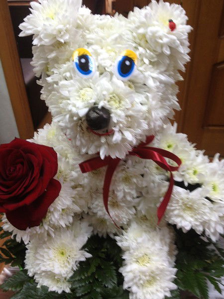 Гуркина Марина