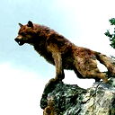 Рафаель Турусбеков