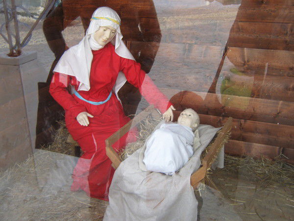 Вера Дейнес