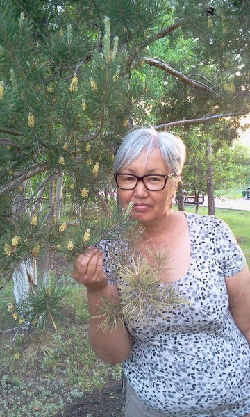 Камка Турова