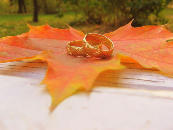 Наталья Башкатова