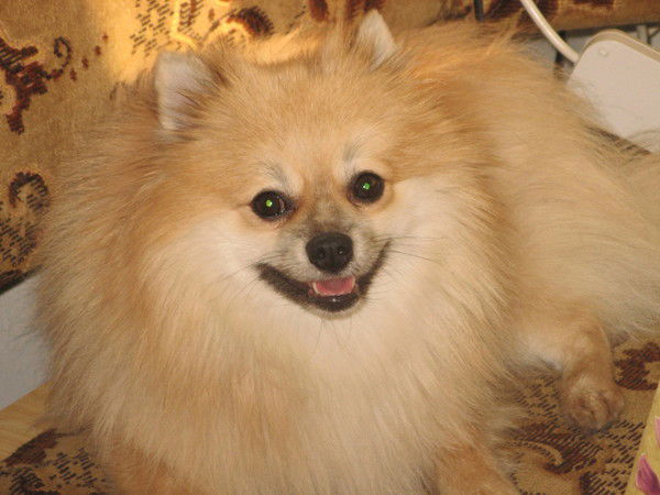 Надежда Симонова