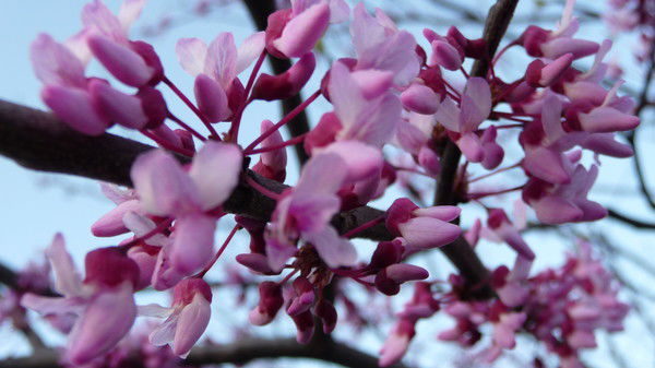 Татьяна .....