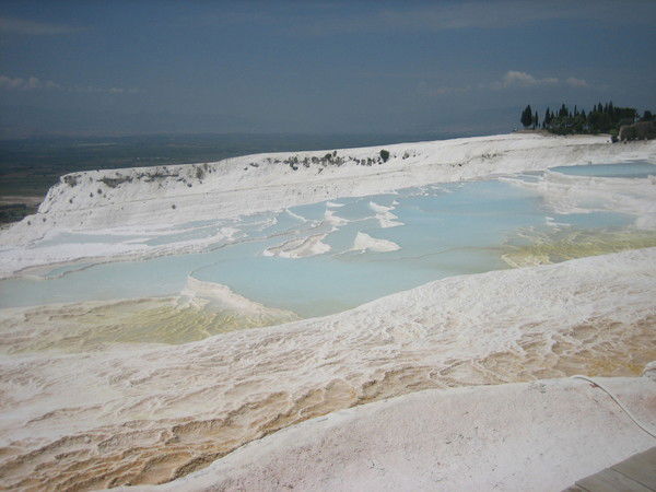 Светлана Корниенко