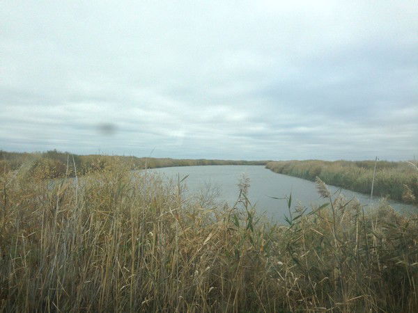 Алмас Сакенулы