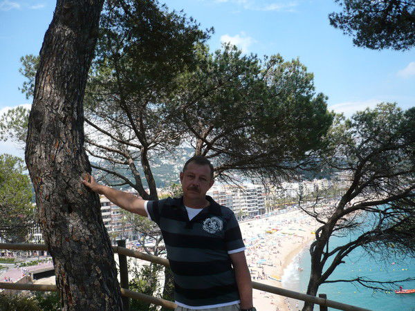 Владимир Горенков