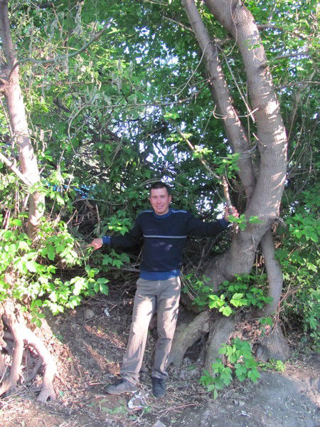 Евгений Сильченко