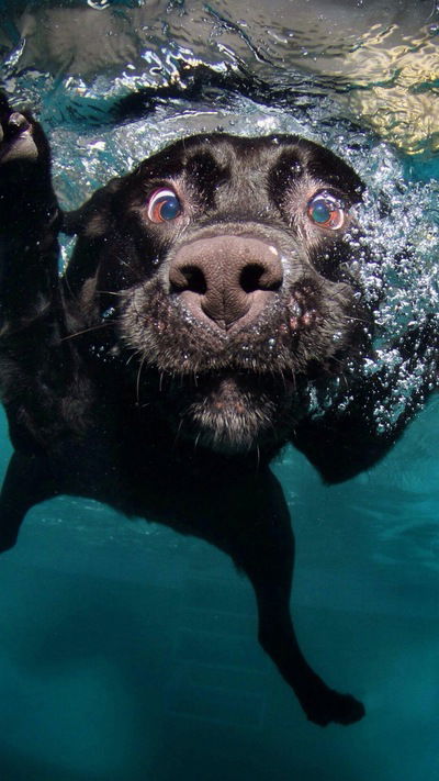 Вадим Серегин