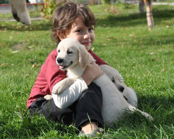 Елена Губарева