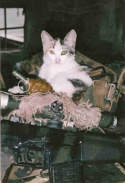 Владислав Кобзистый