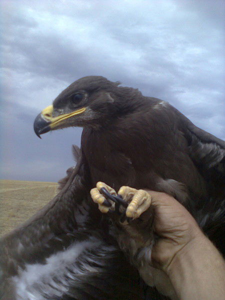 Серик Жакупов