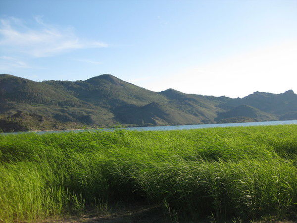 Ирина Павлова