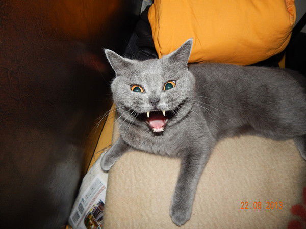 Вячеслав Банин