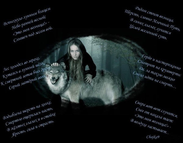 Даниил Шабалин