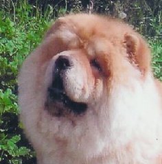 Галина Пыркова