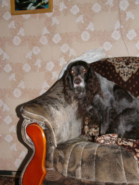 Константин Осокин